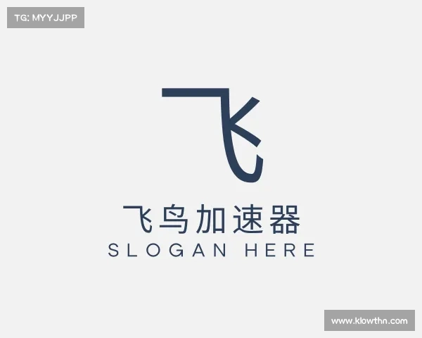 发现飞鸟加速器